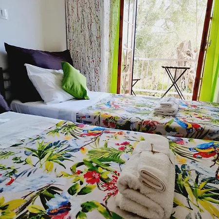 Thomas Art Hotel Pelekas